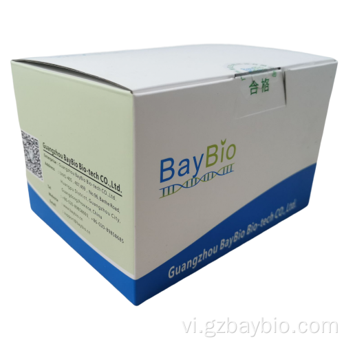 Baybio 96 giếng DNA/RNA Entraction Thuốc thử Thuốc thử